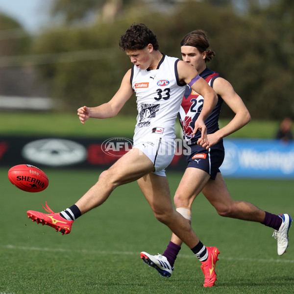 Coates League Boys 2024 Round 18 - Sandringham v Geelong - A-53115108