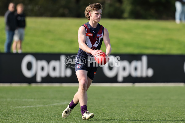 Coates League Boys 2024 Round 18 - Sandringham v Geelong - A-53115110