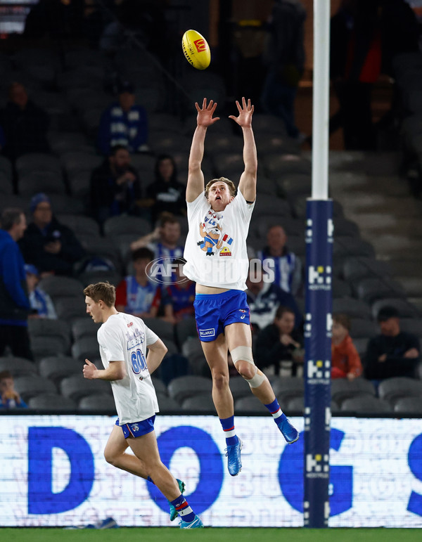 AFL 2024 Round 23 - Western Bulldogs v North Melbourne - A-53115178