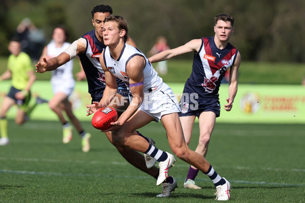 Coates League Boys 2024 Round 18 - Sandringham v Geelong - A-53115189