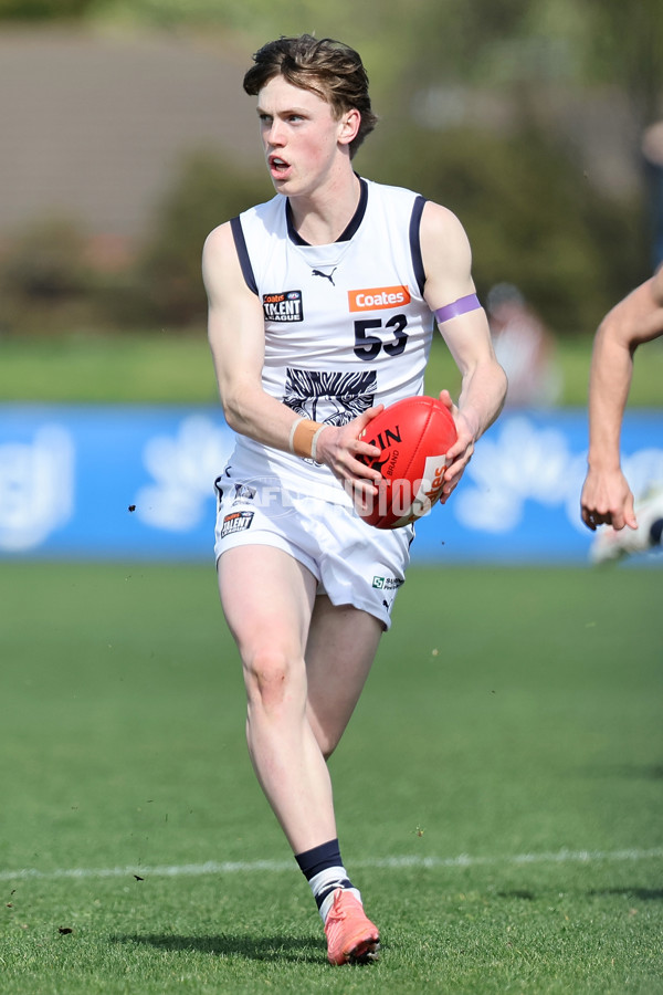 Coates League Boys 2024 Round 18 - Sandringham v Geelong - A-53115190