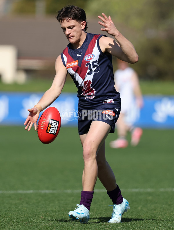 Coates League Boys 2024 Round 18 - Sandringham v Geelong - A-53116210