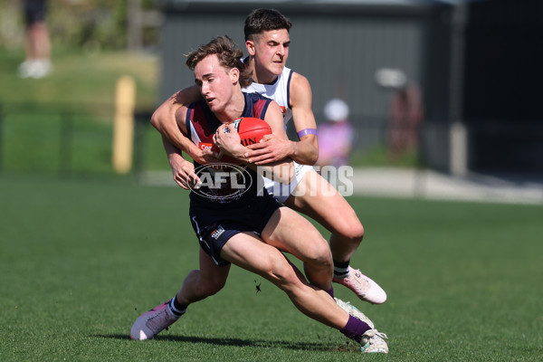 Coates League Boys 2024 Round 18 - Sandringham v Geelong - A-53116212