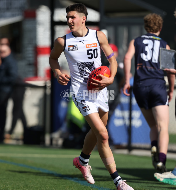 Coates League Boys 2024 Round 18 - Sandringham v Geelong - A-53116213