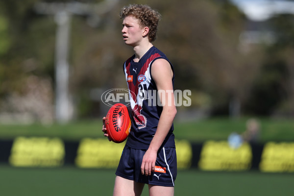 Coates League Boys 2024 Round 18 - Sandringham v Geelong - A-53116216