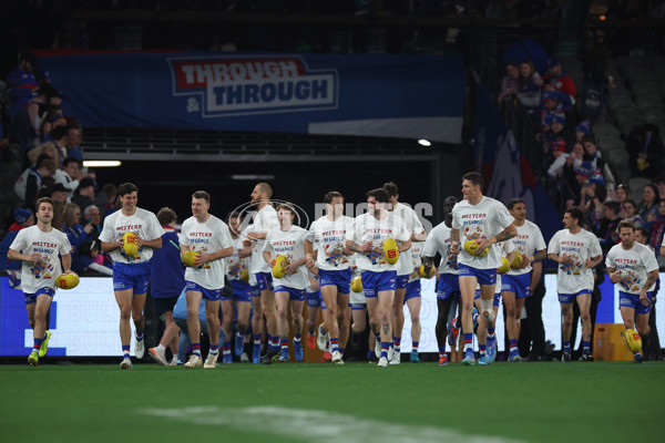 AFL 2024 Round 23 - Western Bulldogs v North Melbourne - A-53116240