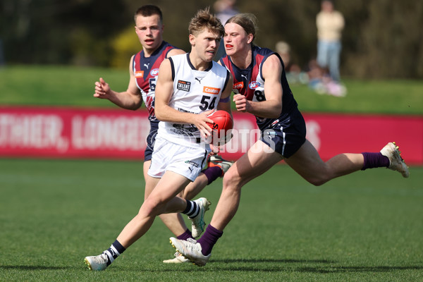 Coates League Boys 2024 Round 18 - Sandringham v Geelong - A-53116252