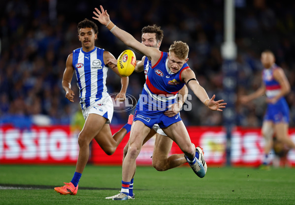 AFL 2024 Round 23 - Western Bulldogs v North Melbourne - A-53116260