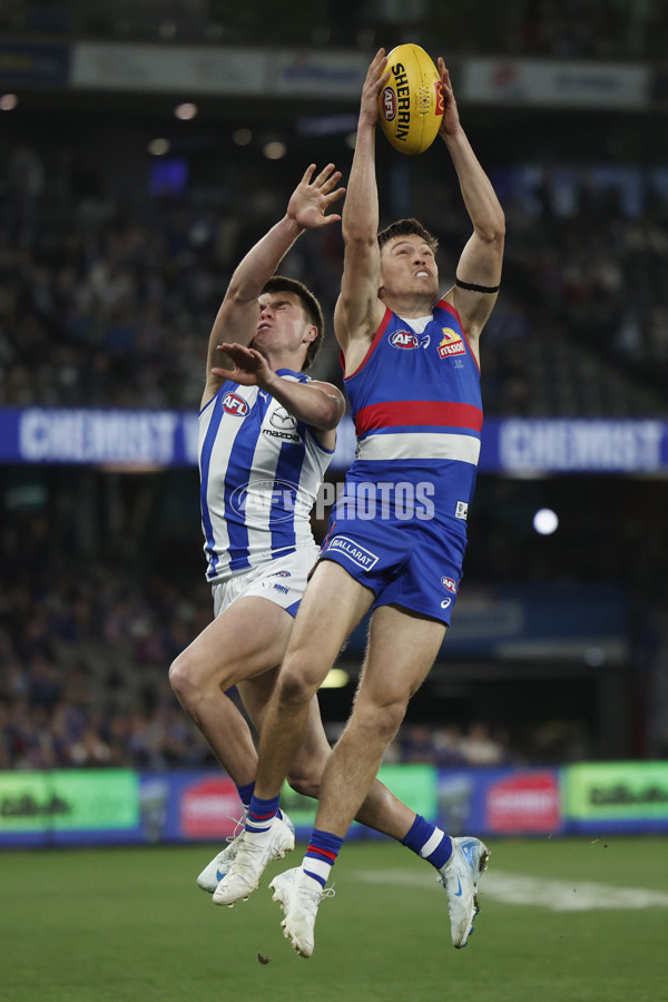 AFL 2024 Round 23 - Western Bulldogs v North Melbourne - A-53116281