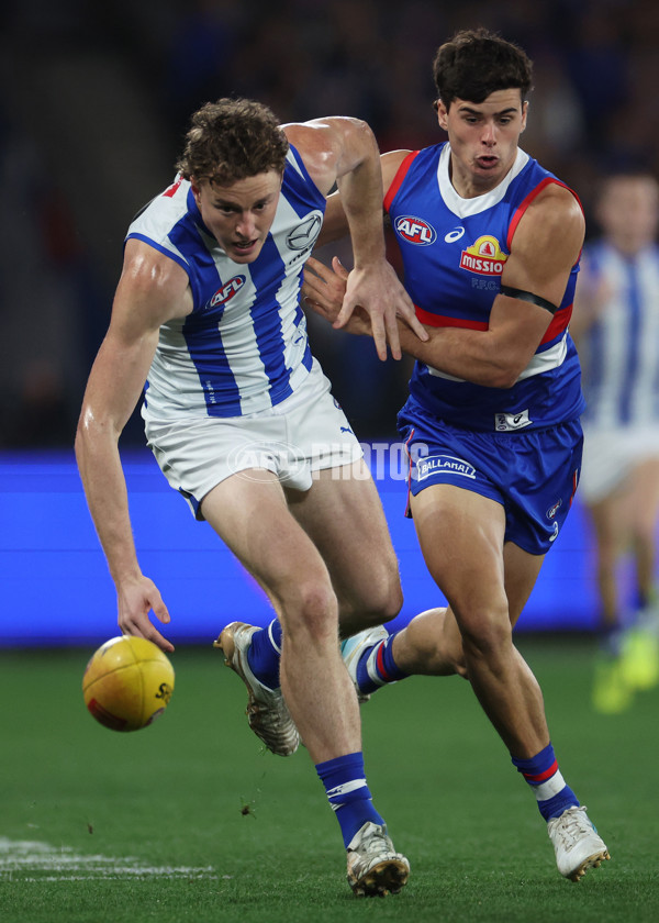 AFL 2024 Round 23 - Western Bulldogs v North Melbourne - A-53116282