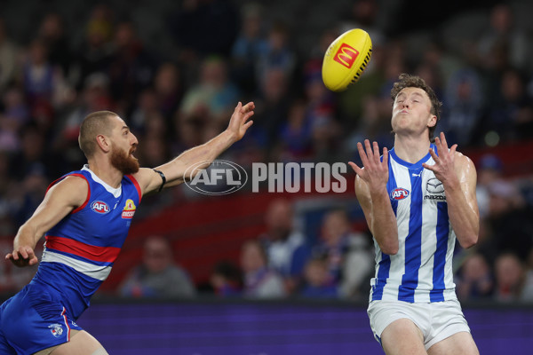 AFL 2024 Round 23 - Western Bulldogs v North Melbourne - A-53116298