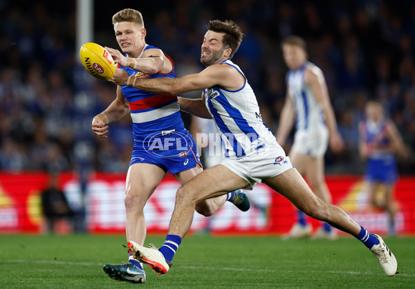 AFL 2024 Round 23 - Western Bulldogs v North Melbourne - A-53117444