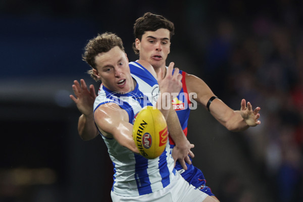 AFL 2024 Round 23 - Western Bulldogs v North Melbourne - A-53117451