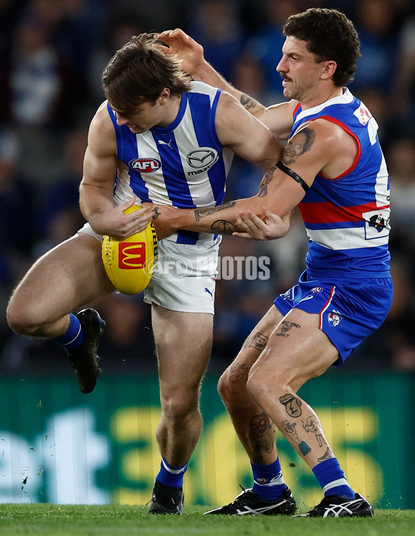 AFL 2024 Round 23 - Western Bulldogs v North Melbourne - A-53117453