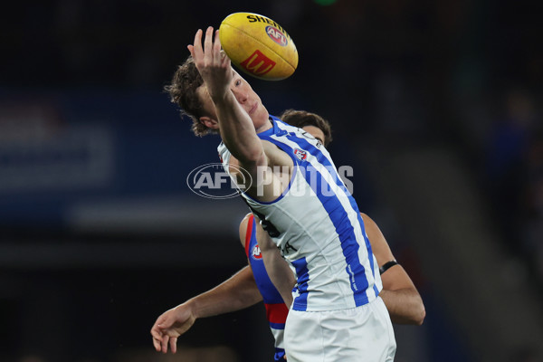 AFL 2024 Round 23 - Western Bulldogs v North Melbourne - A-53117454