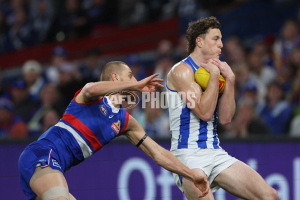 AFL 2024 Round 23 - Western Bulldogs v North Melbourne - A-53117469