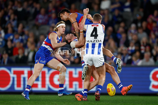 AFL 2024 Round 23 - Western Bulldogs v North Melbourne - A-53117487