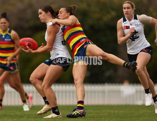 AFLW 2024 Practice Match - Adelaide v Carlton - A-53117514