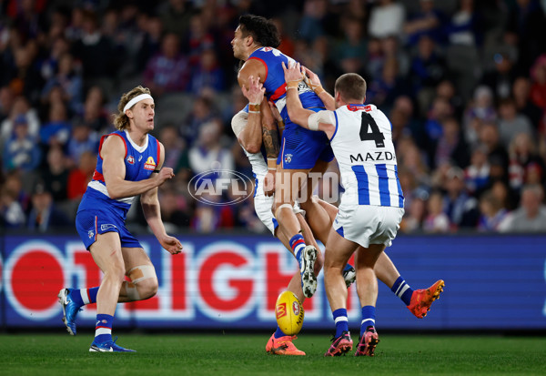 AFL 2024 Round 23 - Western Bulldogs v North Melbourne - A-53118956