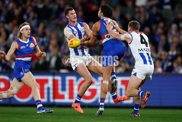 AFL 2024 Round 23 - Western Bulldogs v North Melbourne - A-53118958