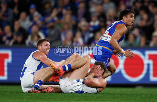 AFL 2024 Round 23 - Western Bulldogs v North Melbourne - A-53118961