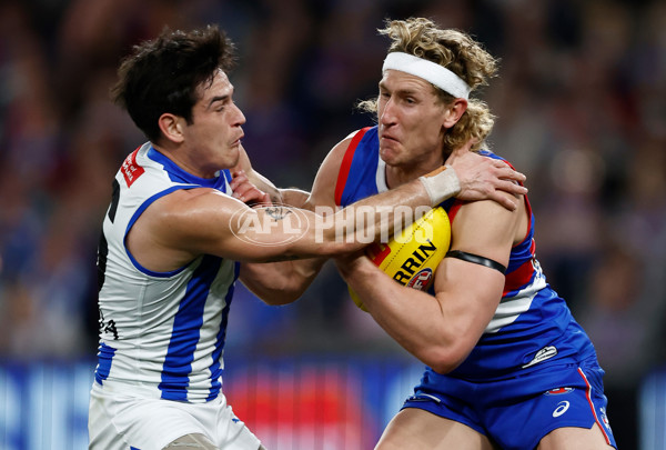 AFL 2024 Round 23 - Western Bulldogs v North Melbourne - A-53118976