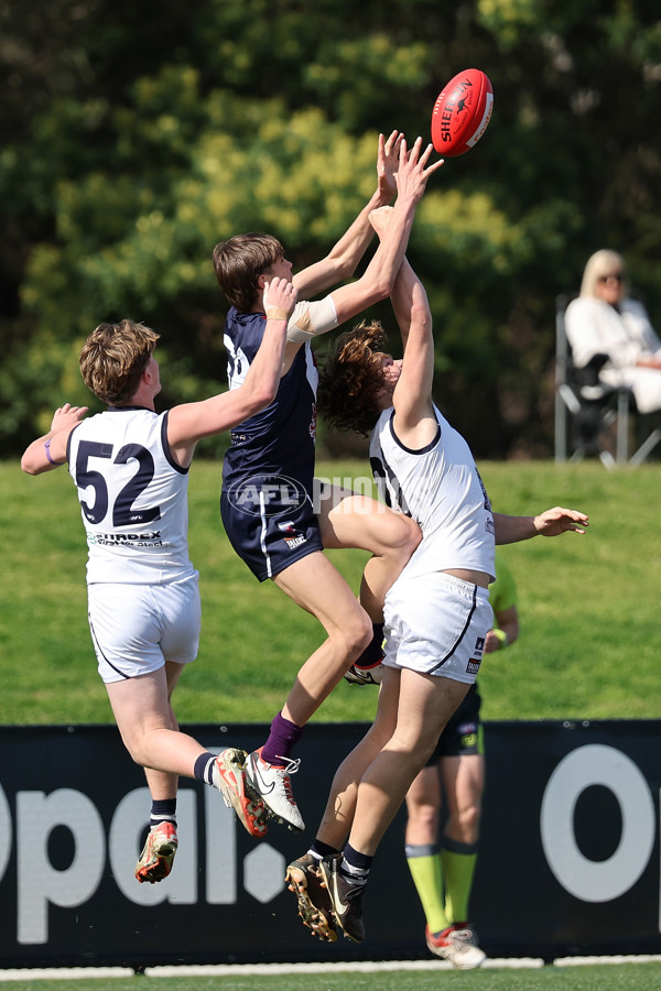 Coates League Boys 2024 Round 18 - Sandringham v Geelong - A-53118994