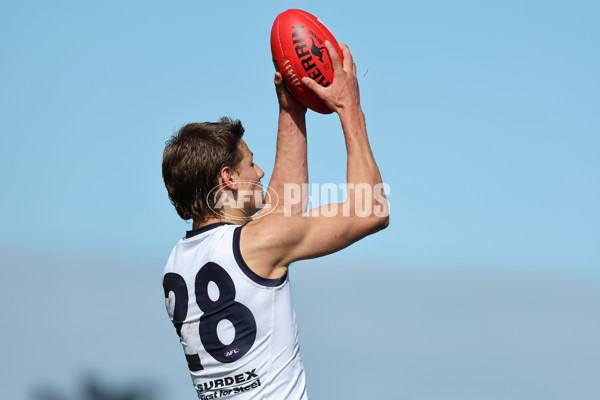 Coates League Boys 2024 Round 18 - Sandringham v Geelong - A-53118997