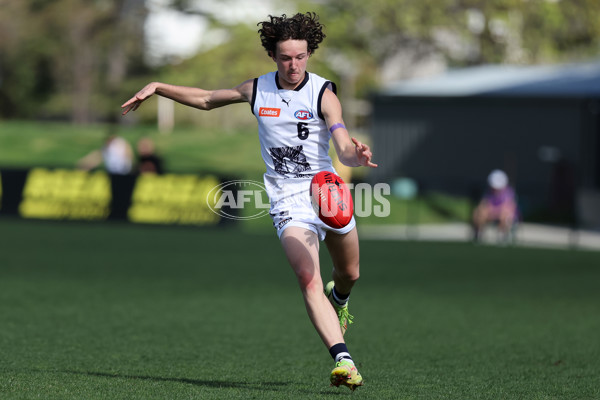 Coates League Boys 2024 Round 18 - Sandringham v Geelong - A-53118998