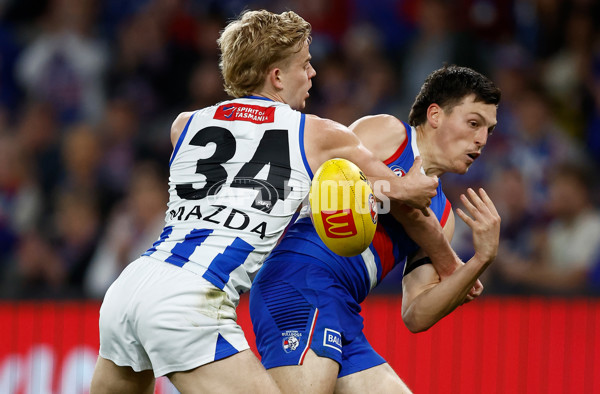 AFL 2024 Round 23 - Western Bulldogs v North Melbourne - A-53119012