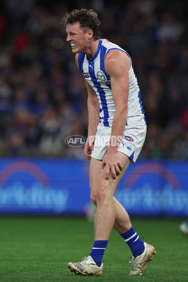 AFL 2024 Round 23 - Western Bulldogs v North Melbourne - A-53119019