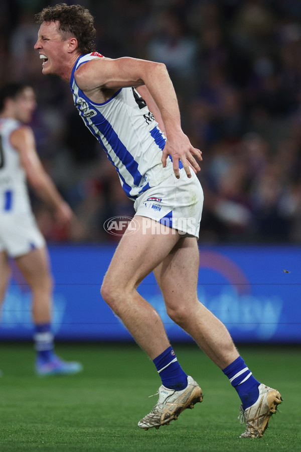 AFL 2024 Round 23 - Western Bulldogs v North Melbourne - A-53119023