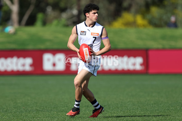 Coates League Boys 2024 Round 18 - Sandringham v Geelong - A-53119848