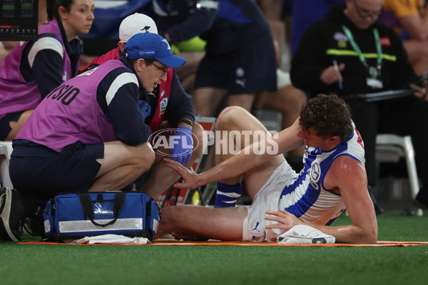 AFL 2024 Round 23 - Western Bulldogs v North Melbourne - A-53119858