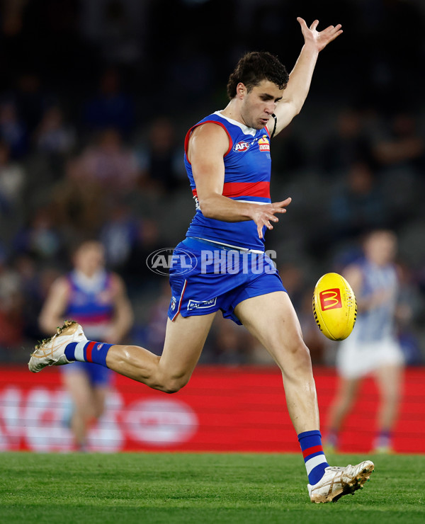 AFL 2024 Round 23 - Western Bulldogs v North Melbourne - A-53119864