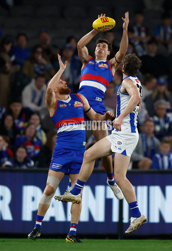 AFL 2024 Round 23 - Western Bulldogs v North Melbourne - A-53119865