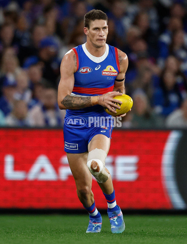 AFL 2024 Round 23 - Western Bulldogs v North Melbourne - A-53119877