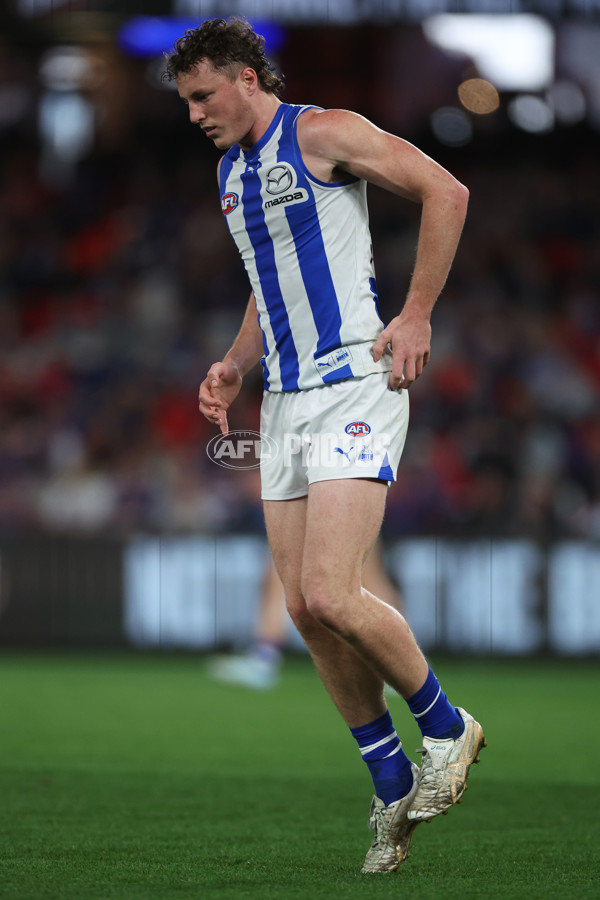 AFL 2024 Round 23 - Western Bulldogs v North Melbourne - A-53119880