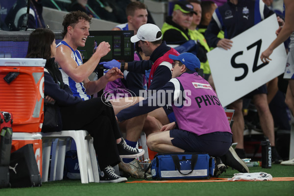 AFL 2024 Round 23 - Western Bulldogs v North Melbourne - A-53119881