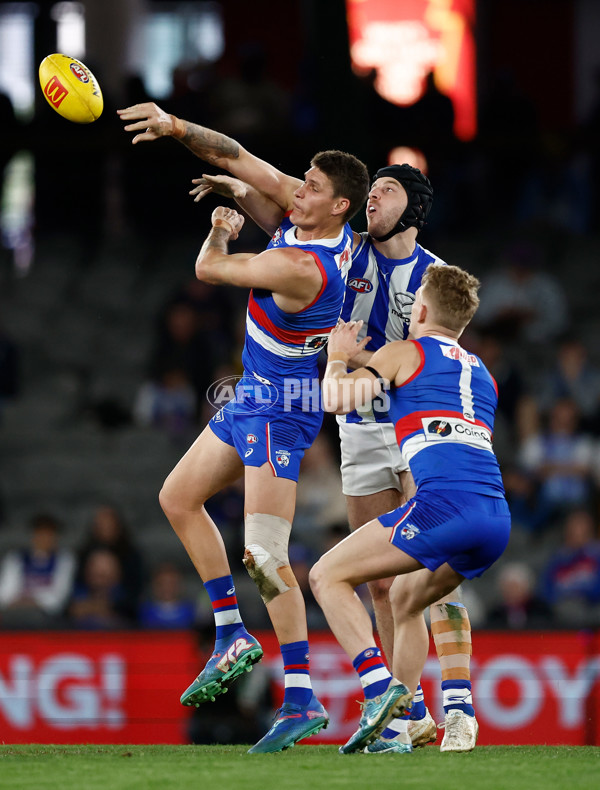 AFL 2024 Round 23 - Western Bulldogs v North Melbourne - A-53119886