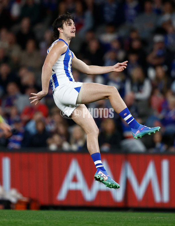 AFL 2024 Round 23 - Western Bulldogs v North Melbourne - A-53119891