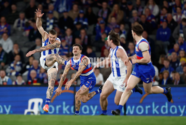 AFL 2024 Round 23 - Western Bulldogs v North Melbourne - A-53119892