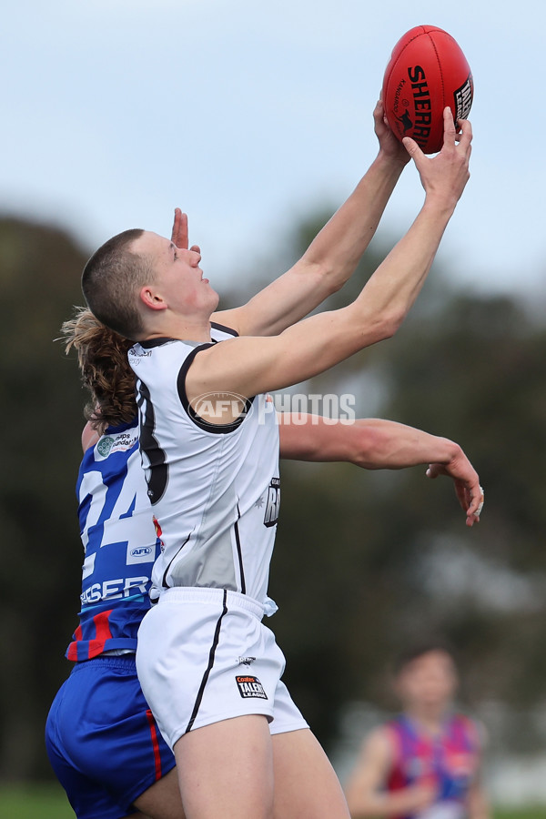 Coates League Boys 2024 Round 18 - Oakleigh v GWV Rebels - A-53119922