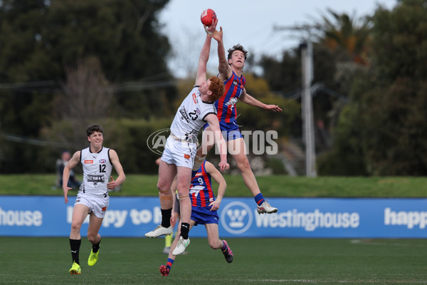 Coates League Boys 2024 Round 18 - Oakleigh v GWV Rebels - A-53119925