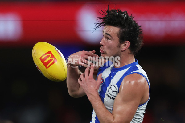 AFL 2024 Round 23 - Western Bulldogs v North Melbourne - A-53119938