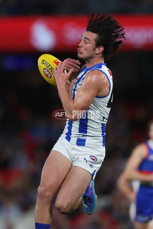 AFL 2024 Round 23 - Western Bulldogs v North Melbourne - A-53119939