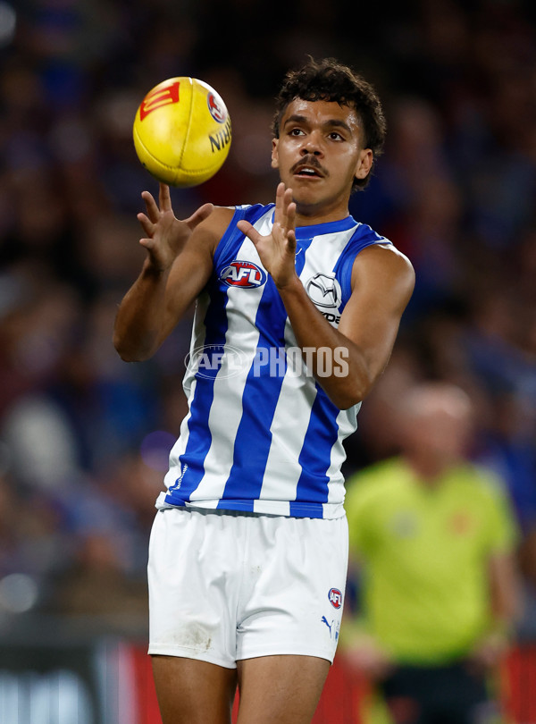 AFL 2024 Round 23 - Western Bulldogs v North Melbourne - A-53121259