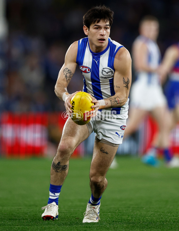 AFL 2024 Round 23 - Western Bulldogs v North Melbourne - A-53121269