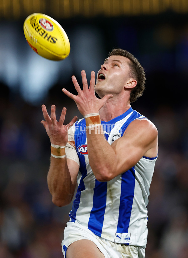 AFL 2024 Round 23 - Western Bulldogs v North Melbourne - A-53121275