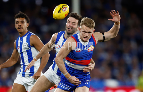 AFL 2024 Round 23 - Western Bulldogs v North Melbourne - A-53121279